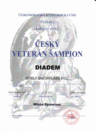Český Veterán šampion